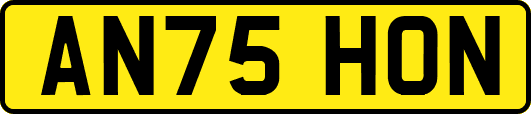AN75HON