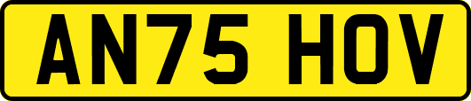 AN75HOV
