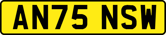 AN75NSW