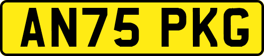 AN75PKG