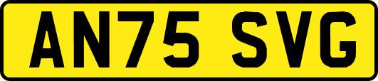 AN75SVG