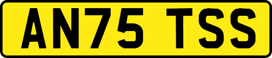 AN75TSS