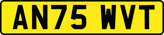 AN75WVT