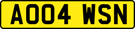 AO04WSN