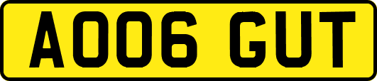 AO06GUT