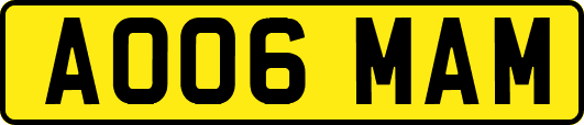 AO06MAM