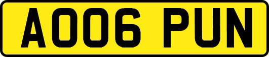 AO06PUN