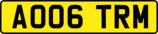 AO06TRM