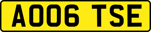 AO06TSE
