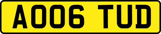 AO06TUD