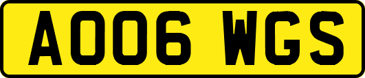 AO06WGS