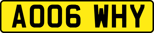 AO06WHY
