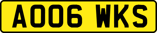 AO06WKS