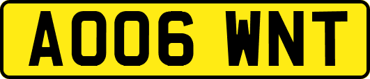 AO06WNT