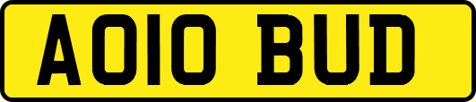 AO10BUD