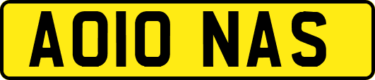 AO10NAS