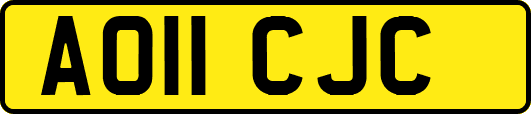 AO11CJC