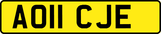 AO11CJE