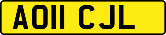 AO11CJL