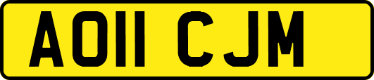 AO11CJM