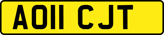 AO11CJT