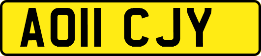 AO11CJY