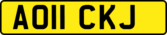 AO11CKJ