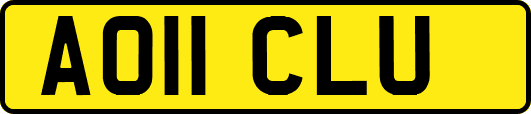 AO11CLU