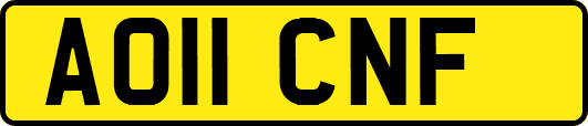 AO11CNF