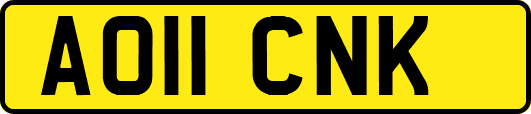 AO11CNK