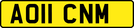AO11CNM