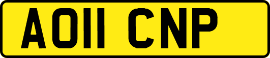 AO11CNP