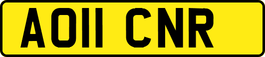 AO11CNR