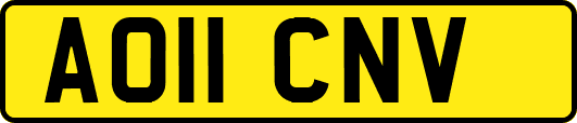 AO11CNV
