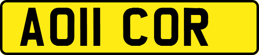 AO11COR