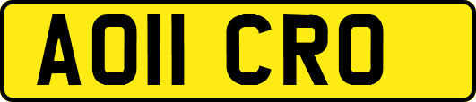 AO11CRO