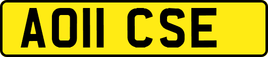 AO11CSE