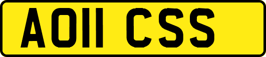 AO11CSS