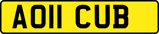 AO11CUB
