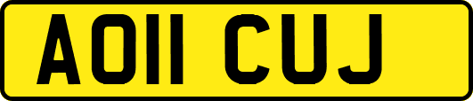 AO11CUJ