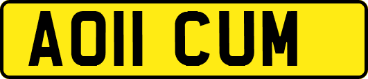 AO11CUM