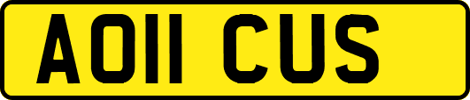 AO11CUS