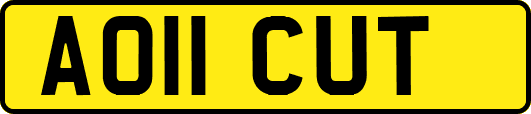 AO11CUT