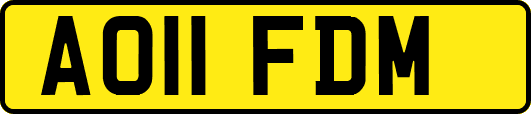AO11FDM