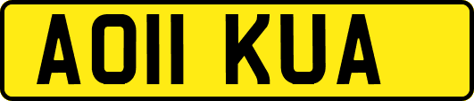 AO11KUA