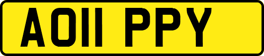 AO11PPY