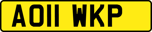 AO11WKP