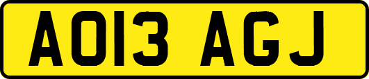 AO13AGJ