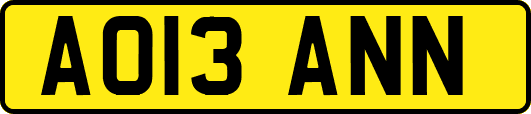AO13ANN