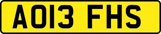 AO13FHS